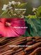 Мист (спрей) для тела Victoria&rsquo;s Secret Serene Blooms 4250326 фото 2