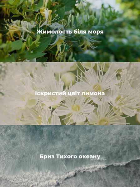 Лосьйон для тіла Victoria's Secret Coastal Blooms 6250326 фото