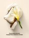 Мист (спрей) для тела Victoria&rsquo;s Secret Coconut Passion Whipped 10070926 фото 2