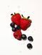 Олія для тіла Victoria's Secret PINK Super Berry 1919977422 фото 3