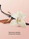 Олія-шиммер для тіла Victoria's Secret Vanilla Orchid Sandalwood  4131225 фото 2